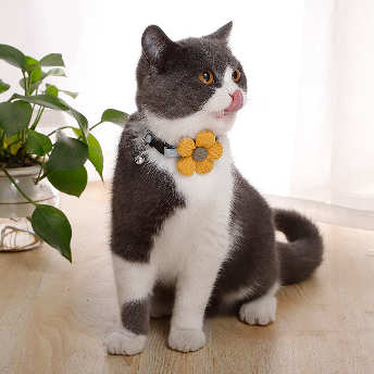   【ペット】可愛いデザイン かわいい  ネコ イヌ  首輪 アクセサリー ペット用品  