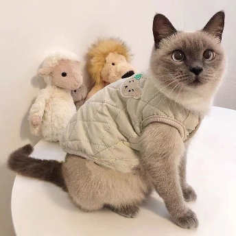   【ペット】猫服 ベスト 猫用 ねこ 猫 ネコ 洋服 冬服 保温防寒 裏ポカ ノースリーブ 可愛い ペット服  