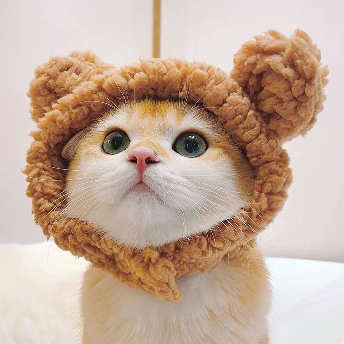   【ペット】 人気爆発 かわいい  無地 動物耳付き 子猫 ins超人気 ペット用品 帽子  