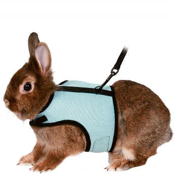   【ペット】個性的なデザイン ウサギの服 ハムスター モルモット 牽引ロープ ペット服  