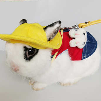   【ペット】おしゃれ度高め ウサギの服 モルモット 子猫 牽引ロープ  ペット服  